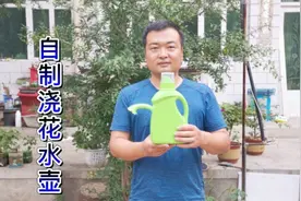 洗衣液瓶千万别扔！农村小伙教你制作漂亮浇花水壶，比买的还好看视频封面