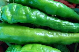 青椒多了吃不完，农村大姐这样保存，吃上几年都不坏视频封面