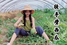 农村丫头馋瓜了，跑表哥家瓜棚里手劈西瓜吃，真把表哥愁坏了视频封面