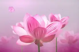 伤感情歌分享(没有什么了不起)好听肉麻