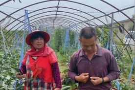 湖北鄂州一对夫妻6年住窝棚垦荒创业，去看看他们如今啥样了视频封面
