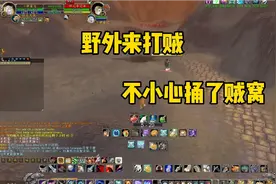 魔兽世界怀旧服:猎人追打采花贼，不料屡屡被群殴，疯狂报复