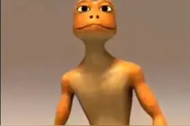 动物的进化过程