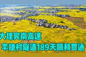 大理3县2022年通高速！宾南高速李捷村隧道顺利贯通，耗资百亿元视频封面