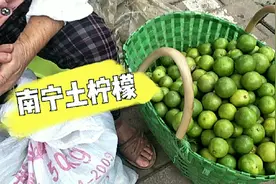 南宁本地的土柠檬又有卖了，土柠檬腌制起来很香，深受本地人喜爱视频封面