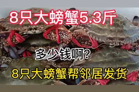 帮邻居采购了8只大螃蟹5斤多，满满一箱发顺丰快递，花了多少钱？