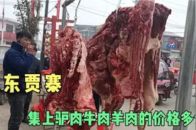 豫东在外务工的老乡们，带你到商丘贾寨集上，打探下驴牛羊肉价格视频封面