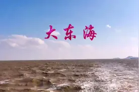 朋友你见过黄色的大海吗？没错跨越东海大桥乘轮船去嵊泗岛吹海风