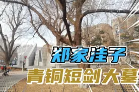 东北规模最大的沈阳郑家洼子青铜短剑大墓，墓主人身份至今仍是谜视频封面