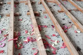 花椒不仅可以烧菜用，装修铺地板用上花椒还可以防虫，用处真不少视频封面