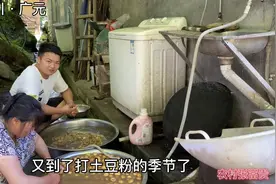 自制纯正土豆淀粉，100斤土豆能做10斤淀粉，学会再也不用上超市