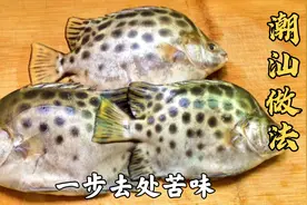 金鼓鱼，鱼肉发苦和刺有毒性！潮汕渔民这样做，鲜嫩入味不发苦