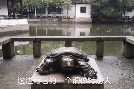 苏州最灵验的寺庙烧香，看国宝级濒危物种，内心好激动