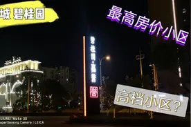 安徽桐城市#房价最高、档次最高、物业最好小区#桐城碧桂园？？视频封面