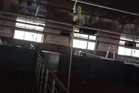 新猪舍怎样装饮水器？