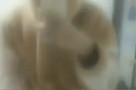 我怎么起标题才能引起你的注意