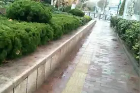 刚刚去居委会开了张证明，证明开好了，后天就可以上班了，好开心