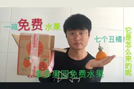 多多果园是套路吗？小伙一年得到的丑橘有点干干巴巴！他会翻车吗视频封面