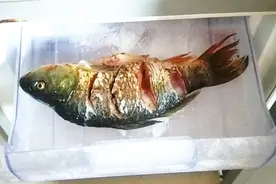 鱼冷冻到冰箱到底能保存多久？快回家扔掉吧，别不当个事