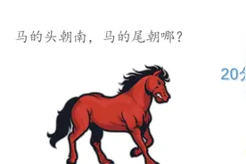马的头朝南，马的尾朝哪？