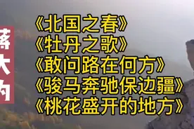 蒋大为经典老歌《北国之春》《牡丹之歌》《敢问路在何方》