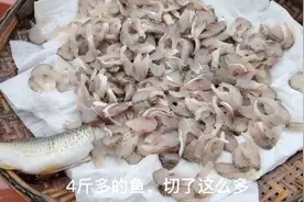 广西鱼生，你们敢吃吗？寄生虫怕不怕视频封面