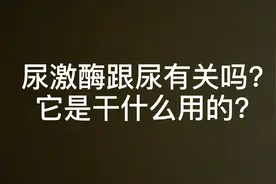 尿激酶跟尿有关吗？