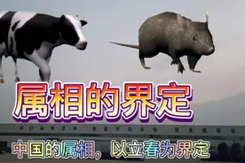 生肖(属相)的界定视频封面