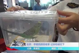 带鹦鹉安检被拦下，铁路民警提示：活体动物不能一起乘车，需托运