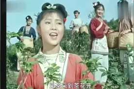 《刘三姐》采茶歌对山歌，经典历历在目