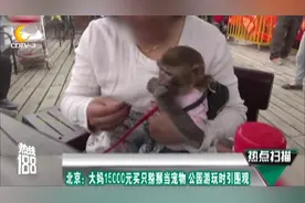 北京：大妈15000元买只猕猴当宠物 公园游玩时引围观