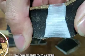 用这个树皮炖猪肾，滋补肝肾汤，男人必须收藏了