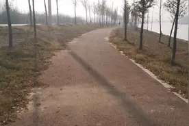 废黄河，徐州人的母亲河。曾经的祸患河，如今是市内的景观河……