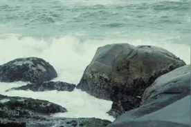 林大哈-惠来人视频封面