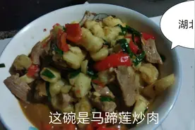 湖北农村的马蹄莲炒肉，阿金只知道是水果，没想到还能做成硬菜视频封面