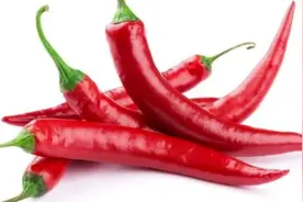 一吃辣椒，下面就火辣辣的疼是为啥？损伤？炎症？视频封面