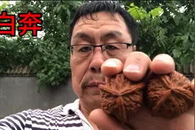 农人李主任这对大三棱核桃，玩的特别红了，可惜是拼接的