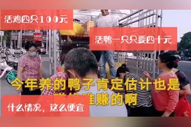 泉州街头早市，100元能买4只活鸡，大活北京鸭只要40元一只