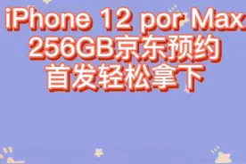 九点ipone12pormax256京东预约首发抢购，轻松拿下，抢购软件视频封面