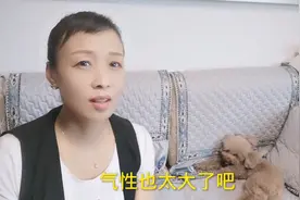 主人离家38天了，小泰迪生气不理主人，现在该怎么办呀！