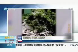 18岁小伙悬崖跳水，头撞岩石不幸去世，同行伙伴拍下悲剧瞬间视频封面