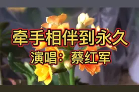 DJ情歌！《牵手相伴到永久》你就是我最美的守候，牵手相伴到永久