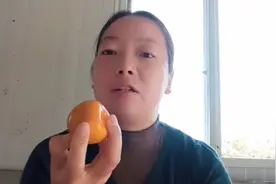 纯天然柿子干的手工做法，没有添加任何东西，老人小孩都可以吃视频封面