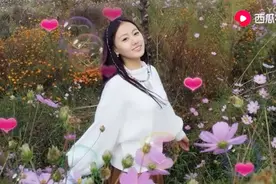 《超好听甜歌大全》女声版！视频封面