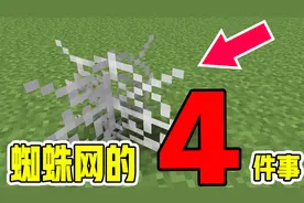 我的世界：蜘蛛网你不知道5件事！不用它采集就别问为什么只有线