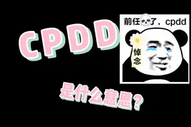 cpdd是什么意思？背后隐藏着怎样的神奇故事？