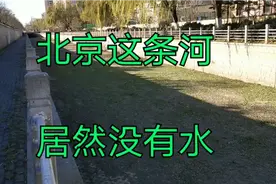 北京的冬天长期不下雨，导致这条河都干枯了，一点水也没有