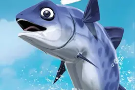 用鱼的视角看世界，才知道人类有多么可怕视频封面