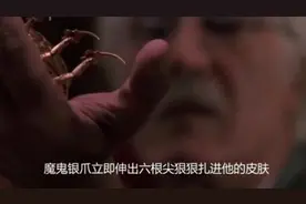 嗜血小金虫，人被吸附后长生不老，但带来的痛苦却生不如死