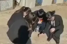 带你们看看北方老鼠和南方老鼠的区别！视频封面